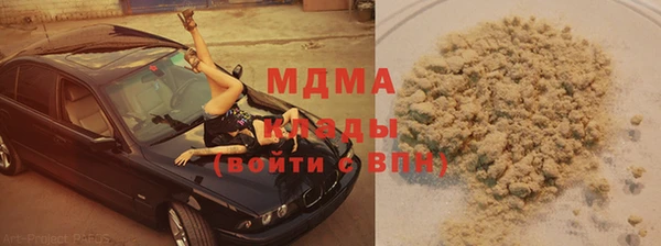хмурый Аркадак