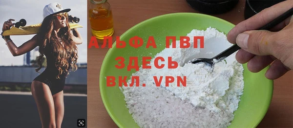 хмурый Аркадак