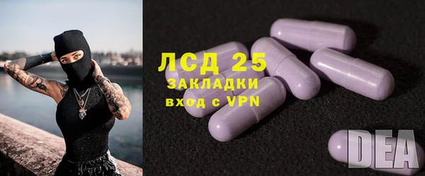 хмурый Аркадак
