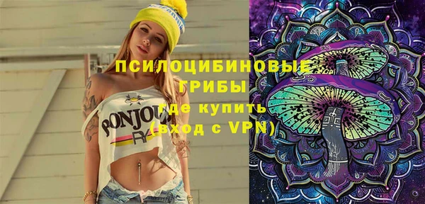 прущий лед Арсеньев