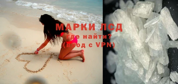 хмурый Аркадак