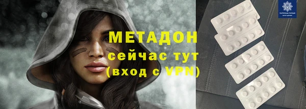 хмурый Аркадак