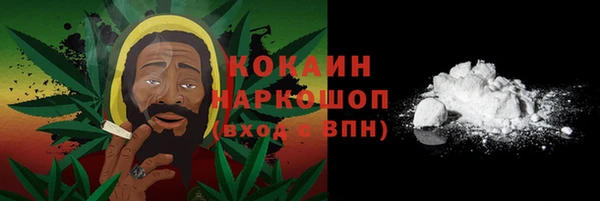 хмурый Аркадак