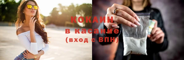 хмурый Аркадак