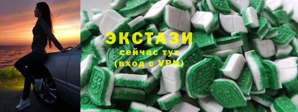 хмурый Аркадак